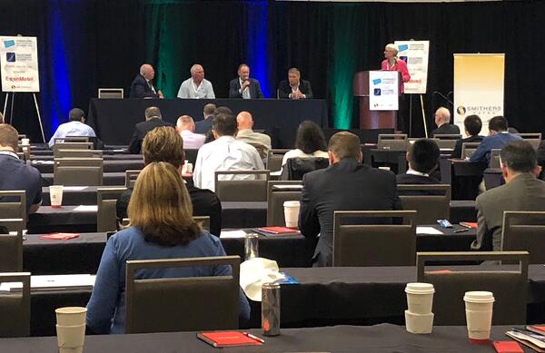 Lynn Momrow Zeilinski of Extreme Molding presenting at Silicone Elastomers US Summit
